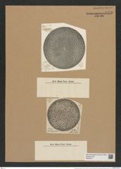 Coscinodiscus obscura A. Schm. (de-Toni-Nr.: Genus 202, Species 4971) Zeichnungen Sammlung Grunow Nr. 8570 (NHMW-BOT-W0378217)